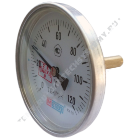 Термометр биметаллический Метер ТБ100 120C Дк 100 L=80 в Туле 0