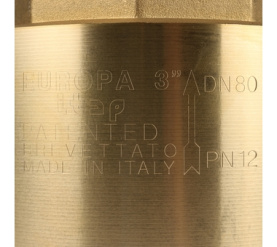 Клапан обратный пружинный муфтовый с металлическим седлом EUROPA 100 3 Itap в Туле 7
