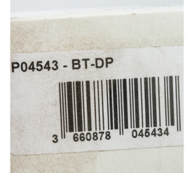 Термостат BTDP Watts 10025807(90.18.475) в Туле 6