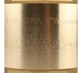 Клапан обратный пружинный муфтовый с металлическим седлом EUROPA 100 2 1/2 Itap в Туле 7